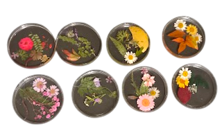 Handcrafted 4” Resin Coaster with Pressed Flowers