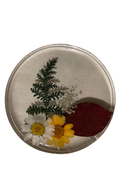Handcrafted 4” Resin Coaster with Pressed Flowers