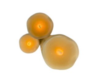 Cylinder Vase with Battery-Operated Flickering Dripping Wax Candle